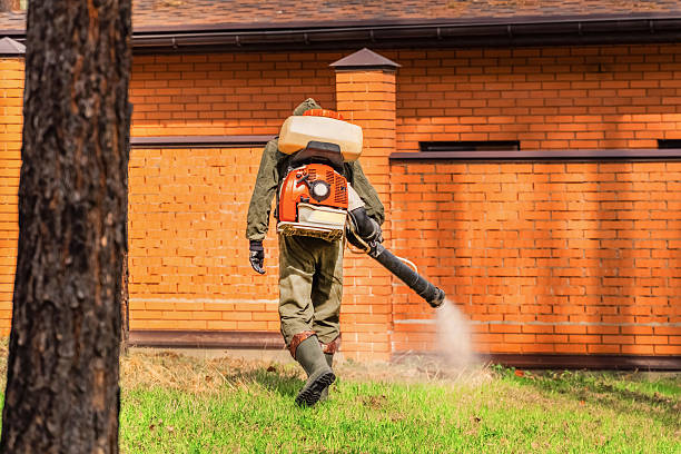 Trusted Cockroach Control service in Paulsboro, NJ - Nex Pest Control